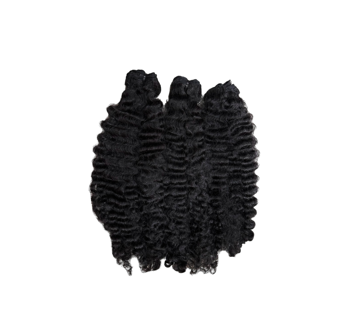 3 BURMESE CURLY BUNDLE DEAL
